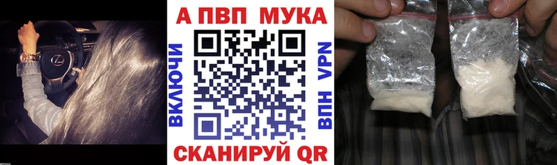 Альфа ПВП СК  Пугачёв 