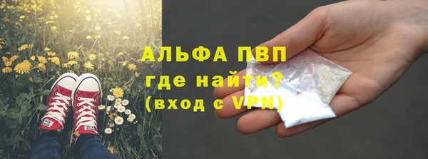 apvp Пересвет
