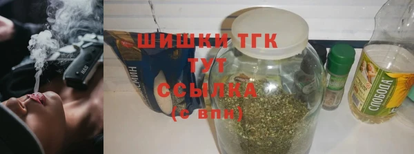 хмурый Ельня