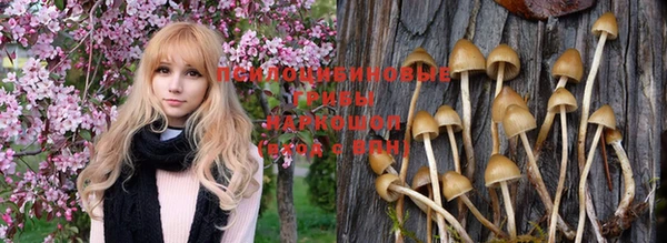 эйфоретик Пестово