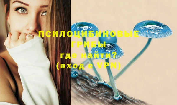 эйфоретик Пестово