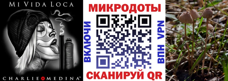 OMG tor  даркнет состав  Псилоцибиновые грибы Magic Shrooms  где найти наркотики  Пугачёв 